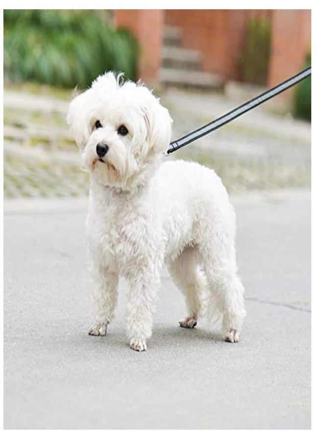 Pet Believe طقم طوق وحزام ومقود للجراء من النايلون بنقشة مخالب من بيت بيليف، مقاس 15 مم، مناسب للكلاب الصغيرة والمتوسطة (قد يختلف اللون) - طوق + حزام + مقود (عاكس للضوء) - Image 2